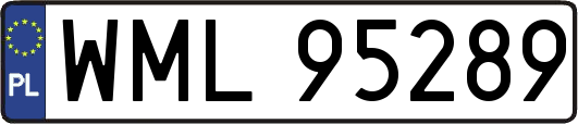 WML95289