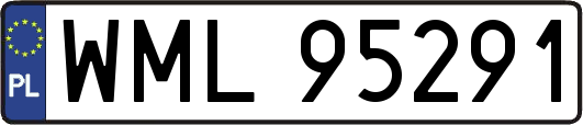 WML95291