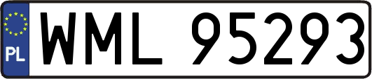 WML95293