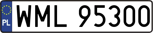 WML95300