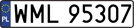 WML95307