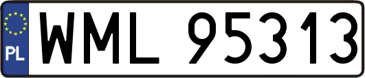WML95313