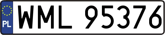 WML95376