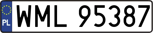 WML95387