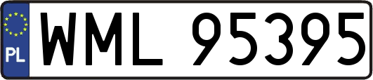 WML95395