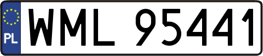 WML95441
