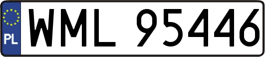 WML95446