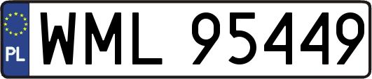 WML95449