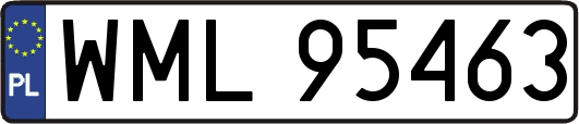 WML95463