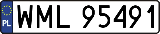 WML95491
