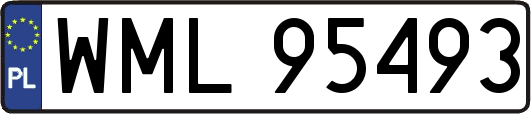 WML95493