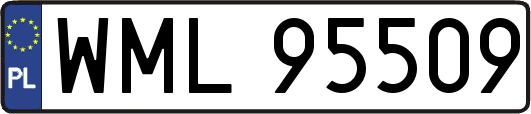 WML95509