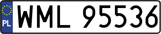 WML95536