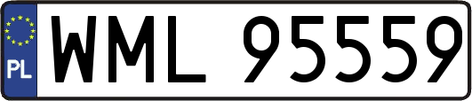 WML95559