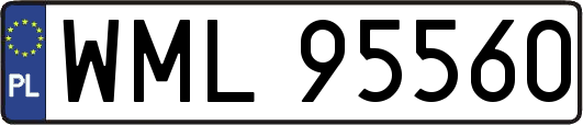 WML95560
