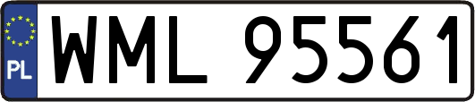 WML95561