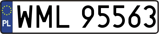 WML95563