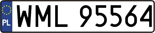 WML95564