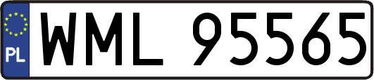 WML95565