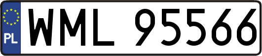 WML95566