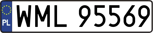 WML95569