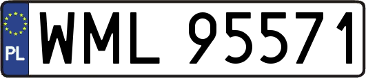 WML95571