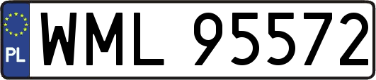 WML95572