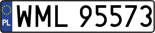 WML95573