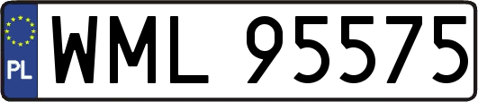WML95575
