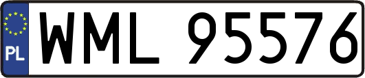 WML95576