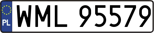 WML95579