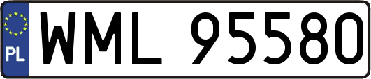 WML95580