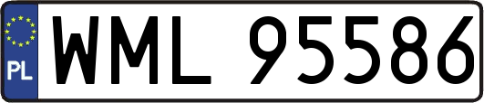 WML95586