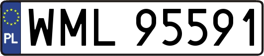 WML95591