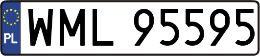WML95595