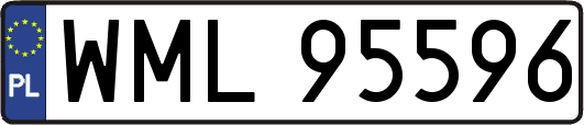 WML95596