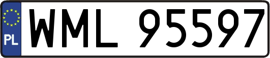 WML95597