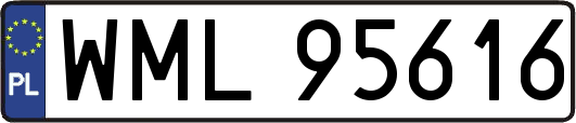 WML95616