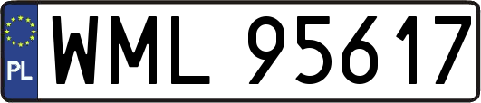 WML95617