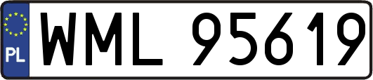WML95619