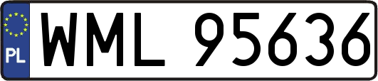 WML95636
