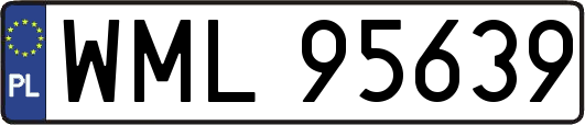 WML95639