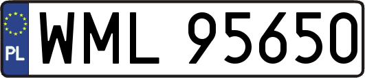 WML95650