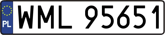 WML95651