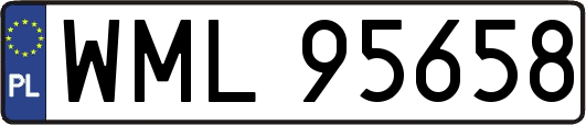WML95658