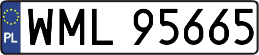 WML95665