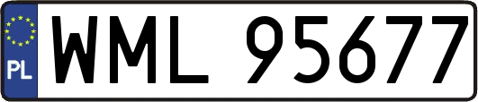 WML95677
