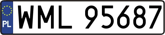 WML95687