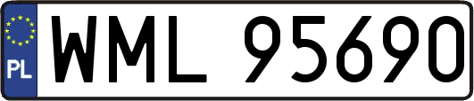 WML95690
