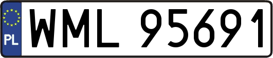 WML95691